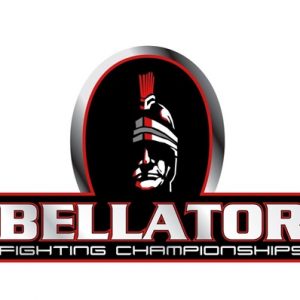 Компания Bellator - турниры, чемпионские титулы, правила, весовые категории